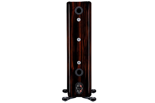 Monitor Audio Platinum 300 3G - kolumny podłogowe