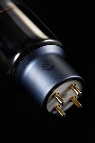 Psvane Acme 805 (para)